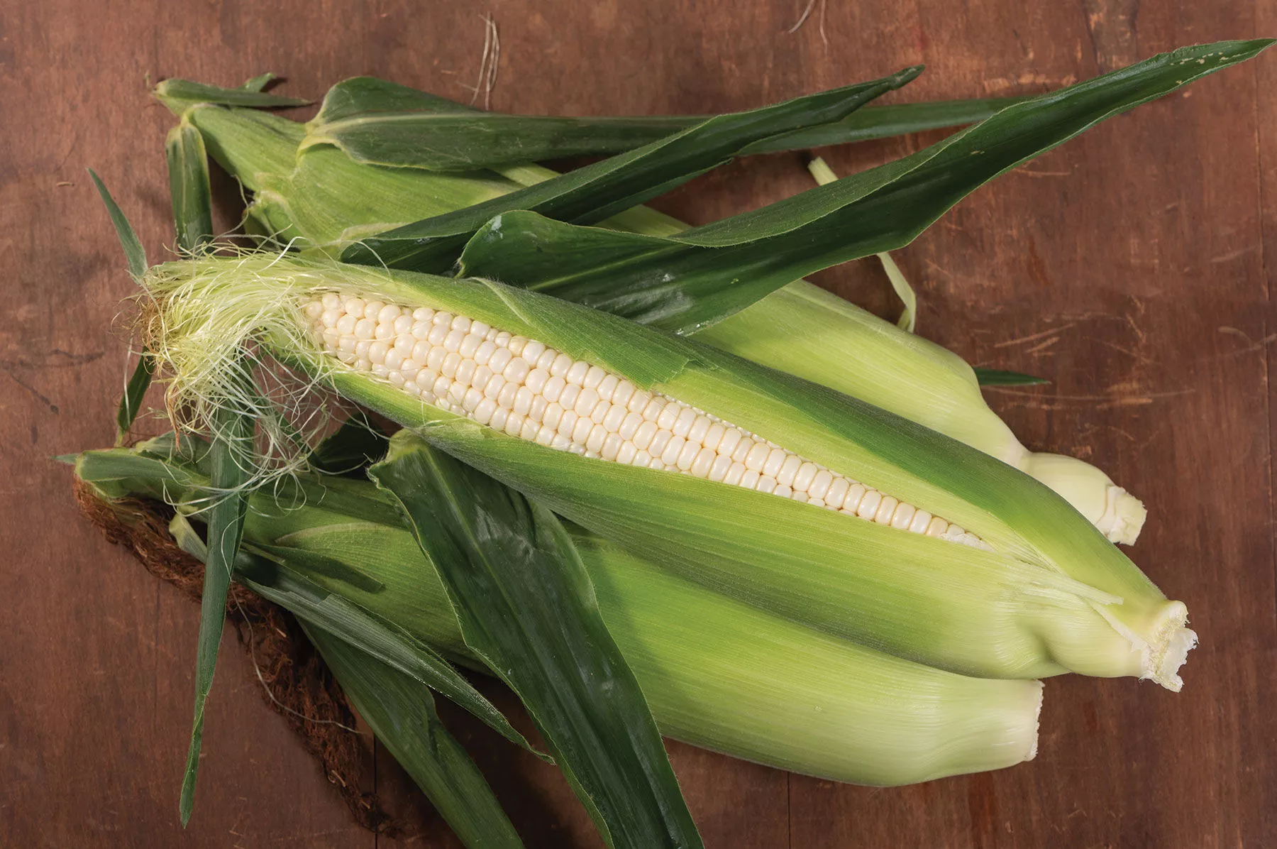 Illusion (F1) Corn Seed