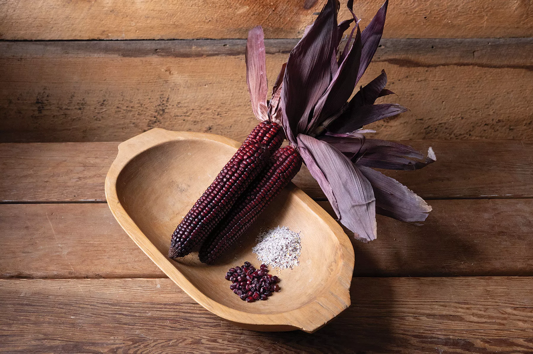 Indian Art Red Fire (F1) Corn Seed
