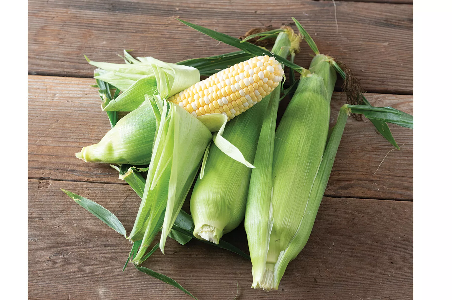 Inspiration (F1) Corn Seed