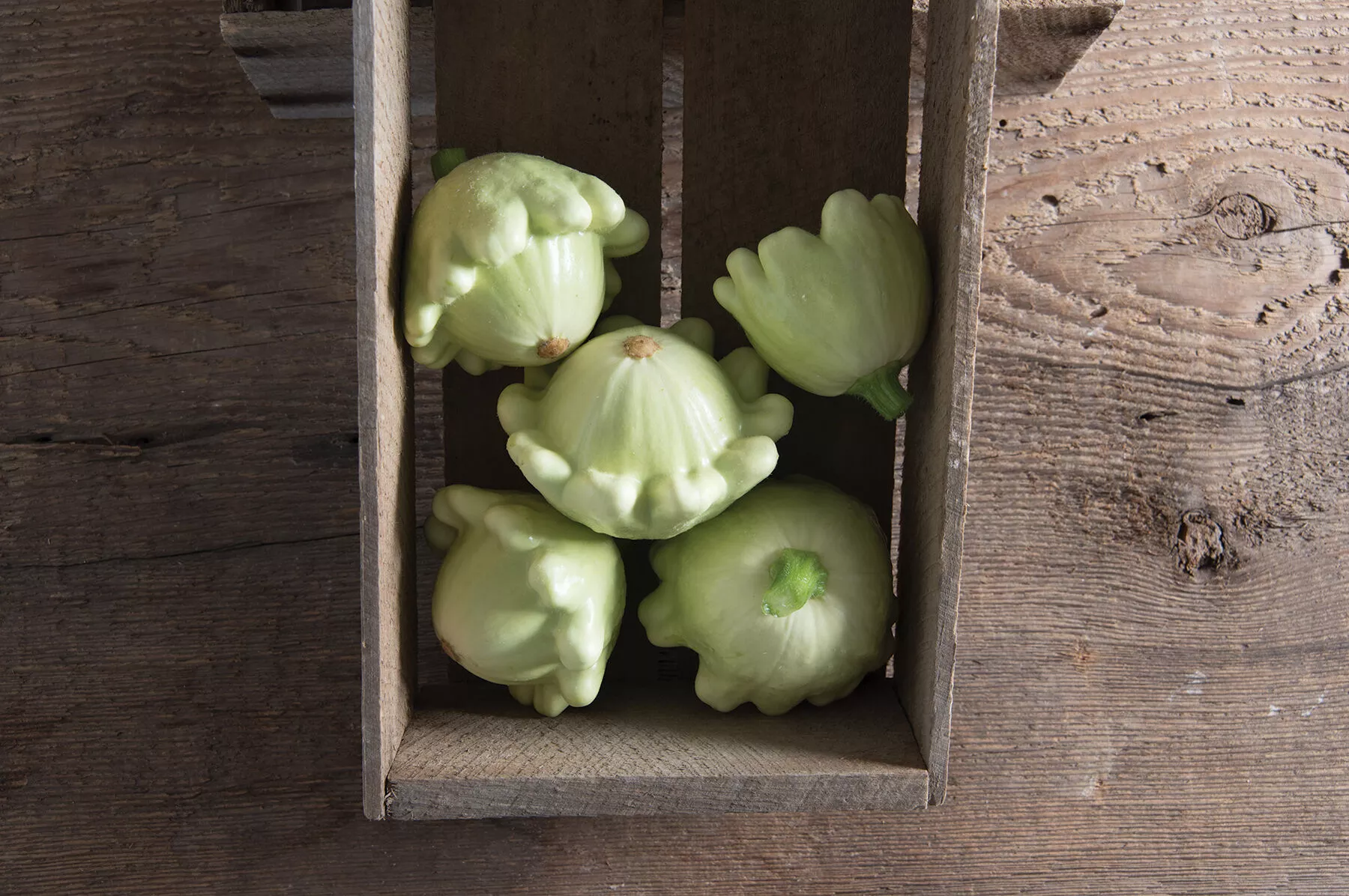jaune-et-verte-organic-patty-pan-squash-seed Jaune et Verte Organic Patty Pan Squash Seed
