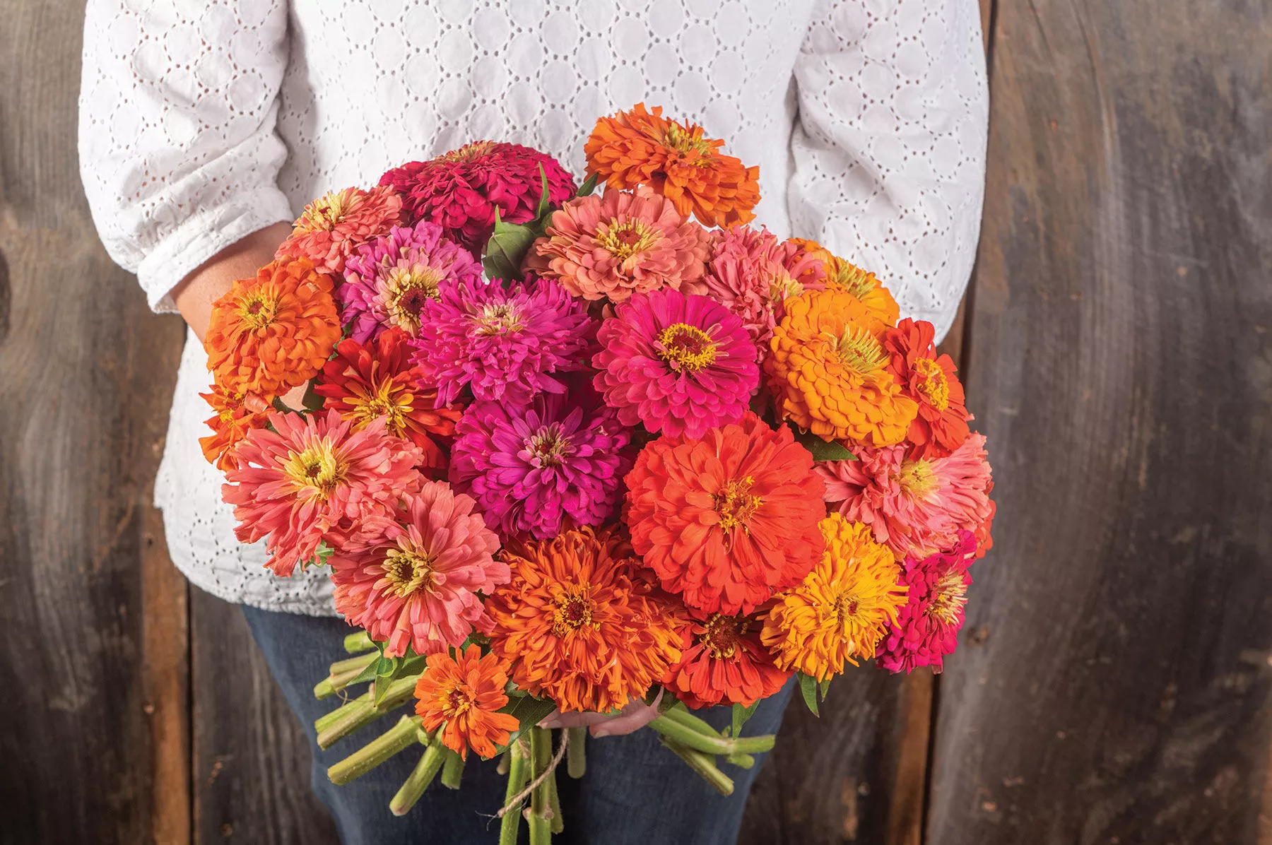 Jim Baggett's Choice Mix Organic Zinnia Seed