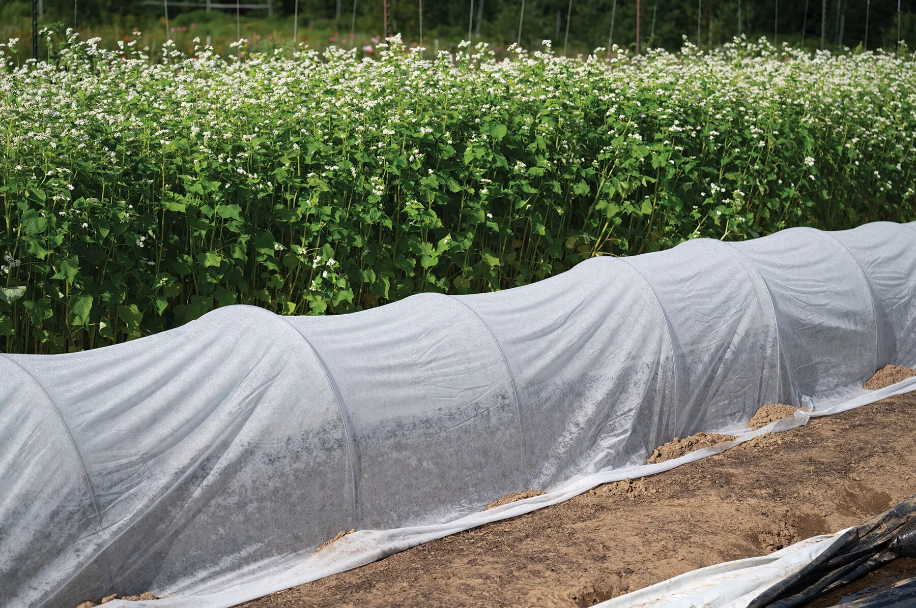 Johnny's DuraSpun 55 – 7' x 50' Row Cover
