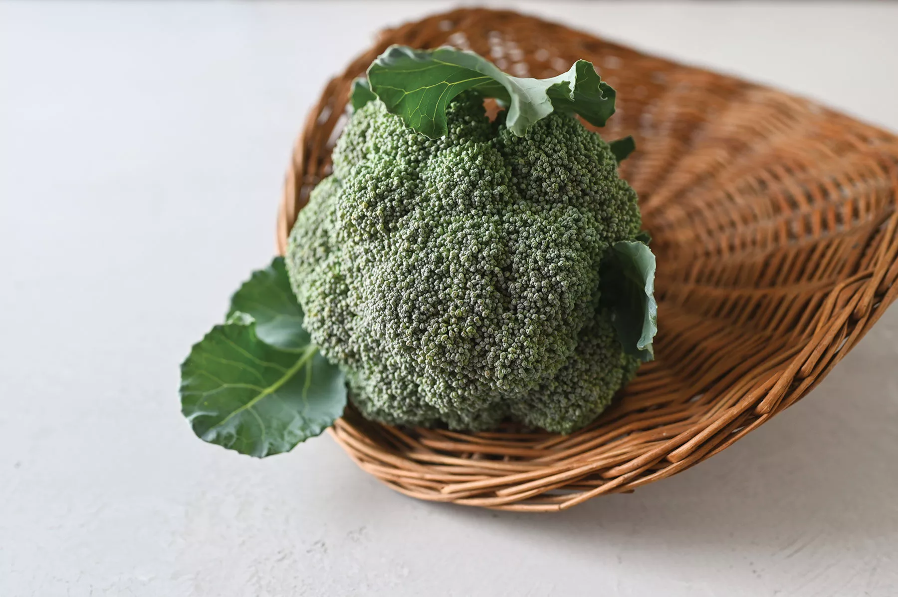 Kariba (F1) Broccoli Seed