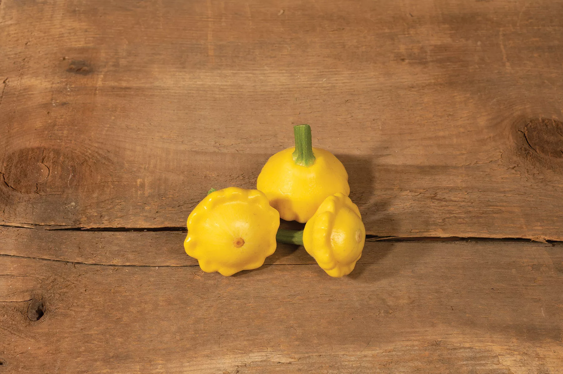 lemon-sun-f1-patty-pan-squash-seed Lemon Sun (F1) Patty Pan Squash Seed