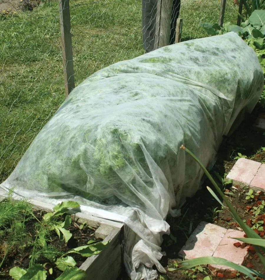 Lightweight Floating Row Cover