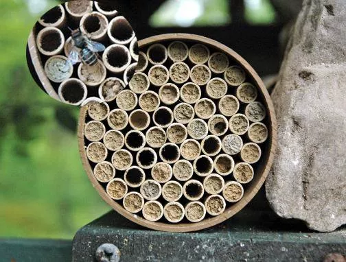 Mason Bee Nest Kit