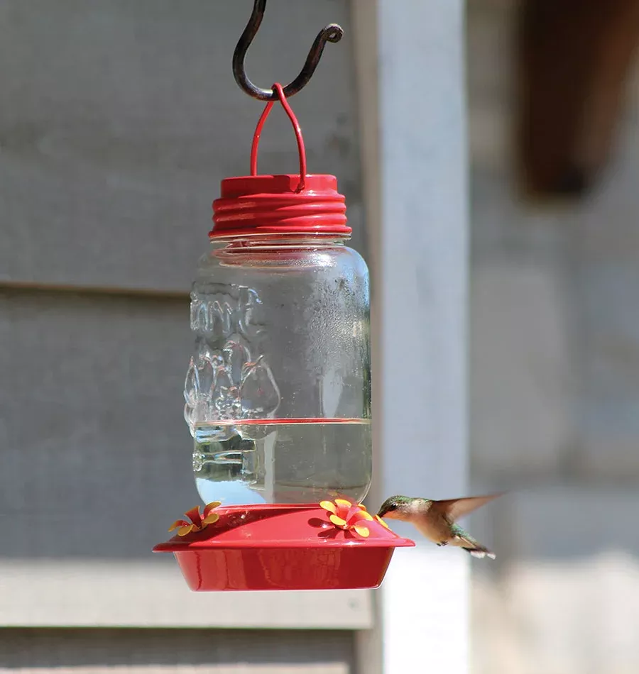 mason-jar-glass-hummingbird-feeder Mason Jar Glass Hummingbird Feeder