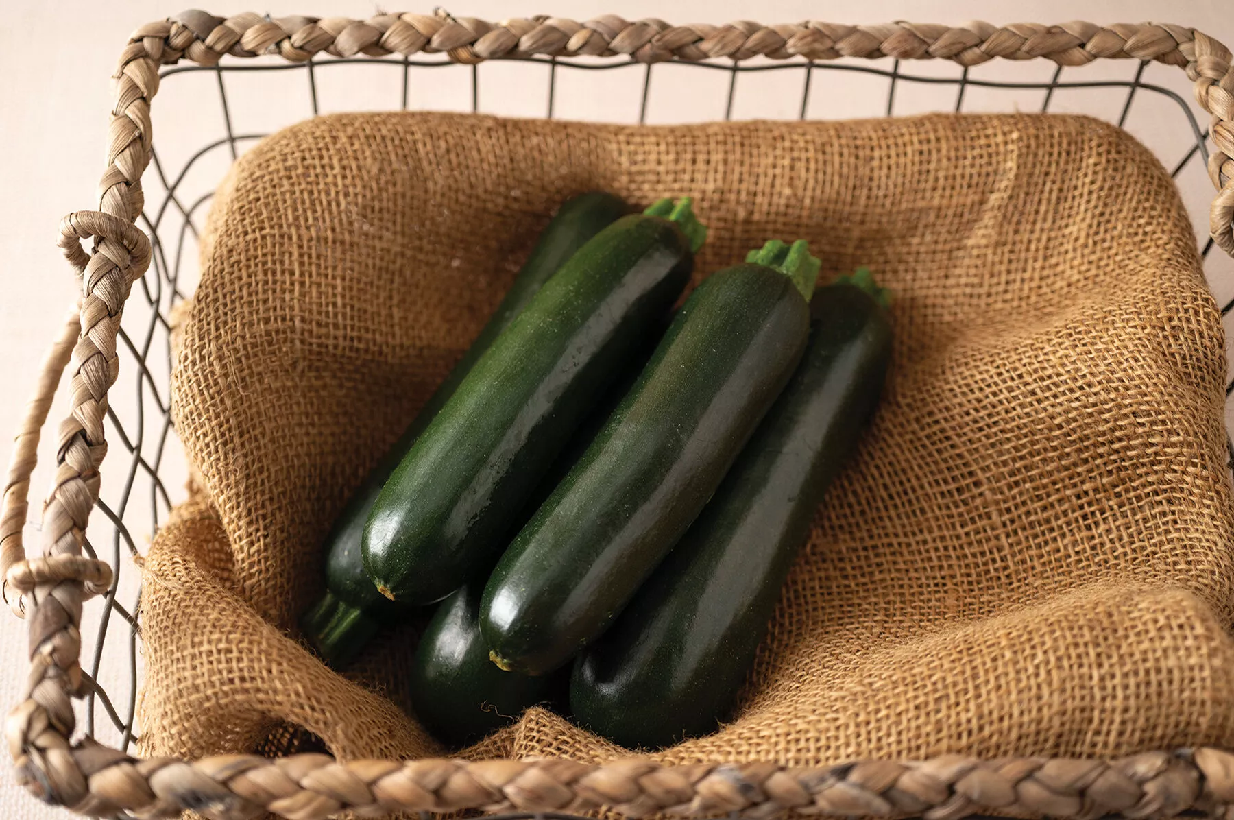 maveric-f1-zucchini-squash-seed Maveric (F1) Zucchini Squash Seed
