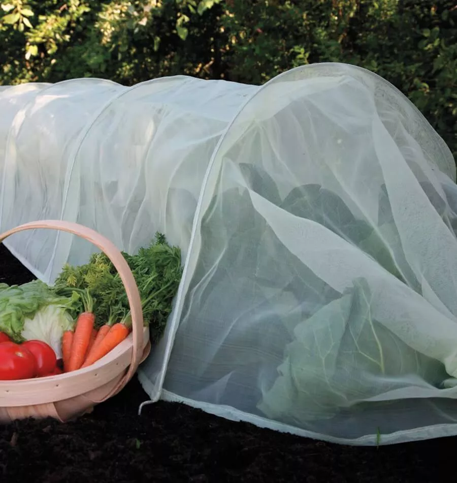 mesh-grow-tunnel Mesh Grow Tunnel