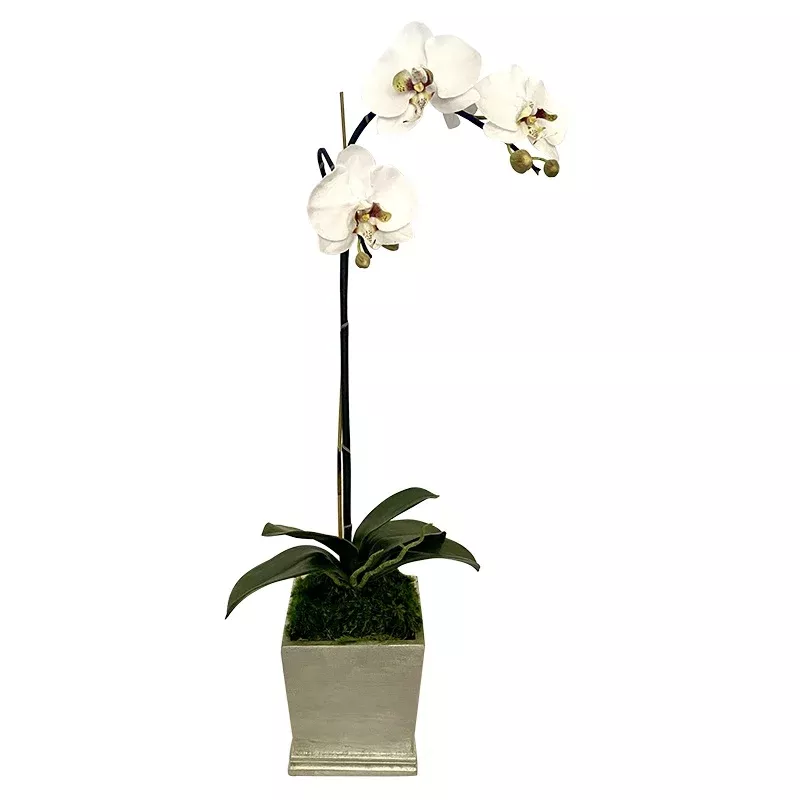 [MSP-C-ORGR2] Resin Mini Square Container Champagne Leaf – Artificial Orchid White & Green