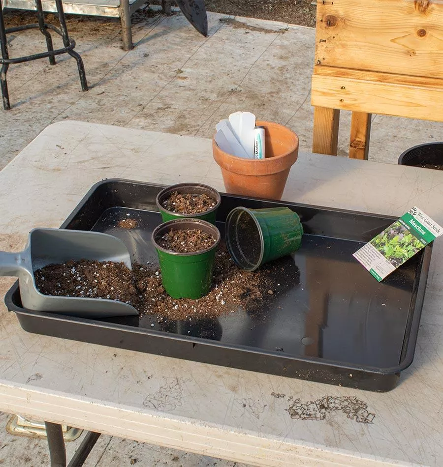multi-purpose-planting-tray Multi-Purpose Planting Tray