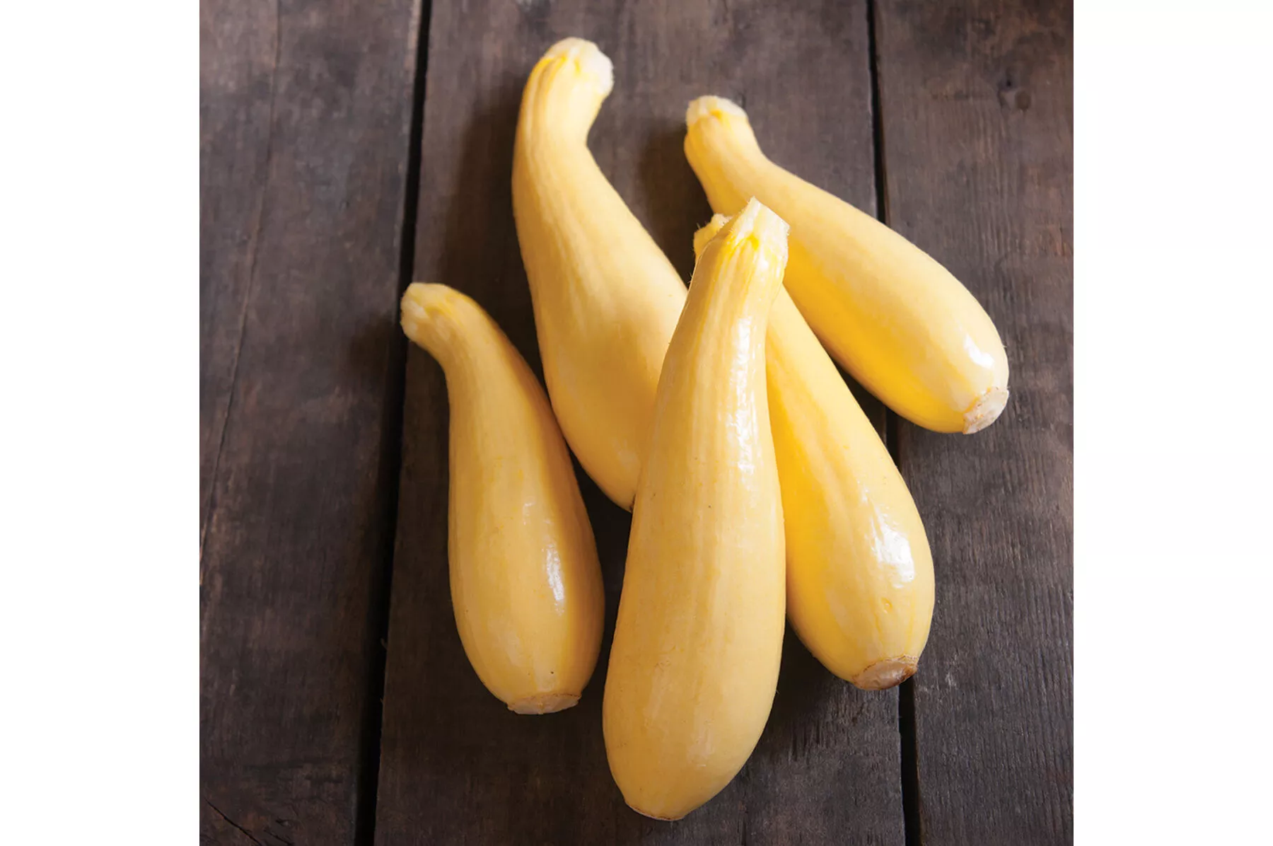 multipik-f1-yellow-summer-squash-seed Multipik (F1) Yellow Summer Squash Seed