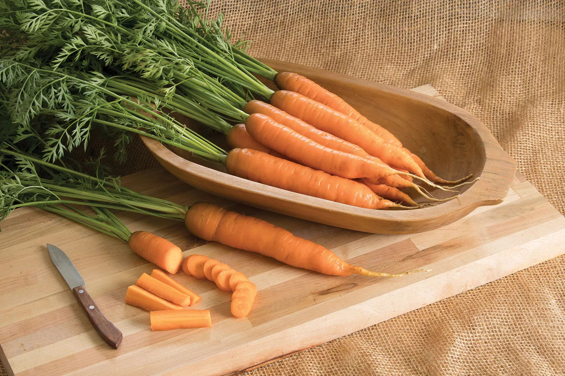 Napoli (F1) Carrot Seed