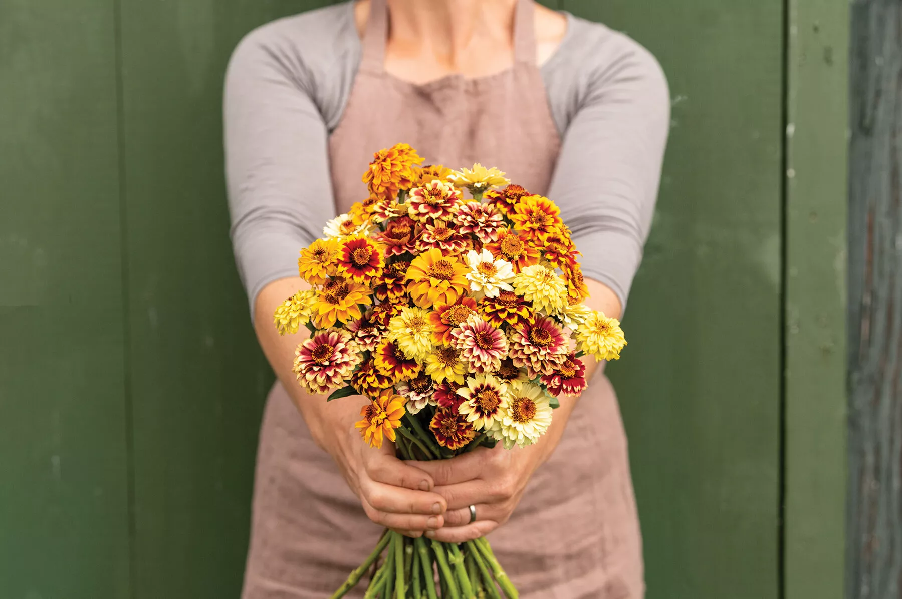 persian-carpet-zinnia-seed Persian Carpet Zinnia Seed
