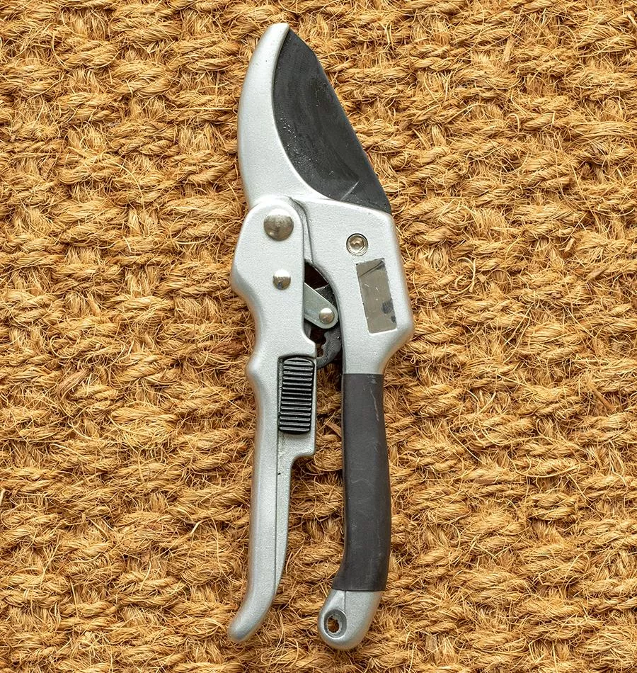 ratchet-pruner Ratchet Pruner