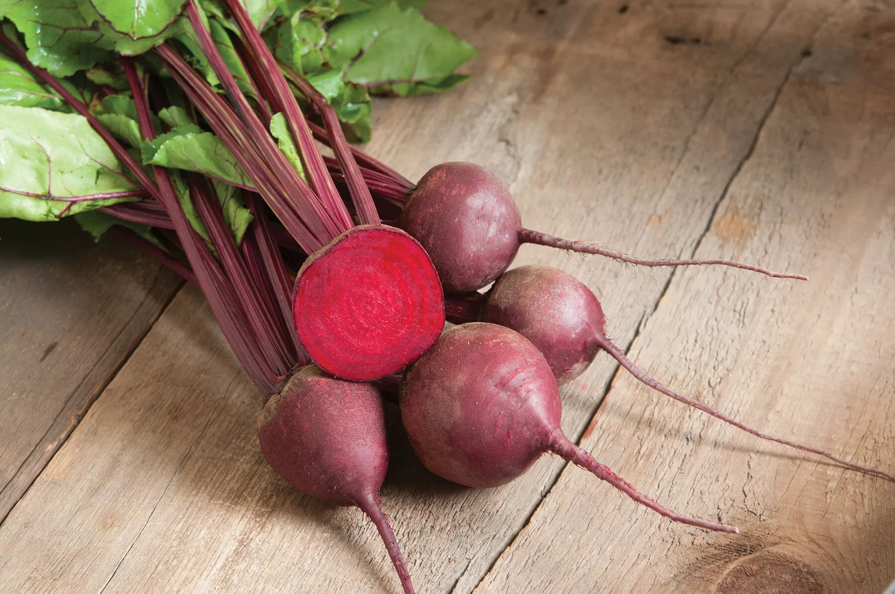 red-ace-pelleted-f1-beet-seed Red Ace Pelleted (F1) Beet Seed