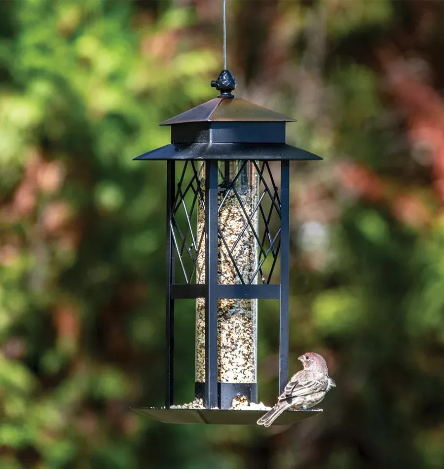 regal-style-trellis-tube-feeder Regal Style Trellis Tube Feeder