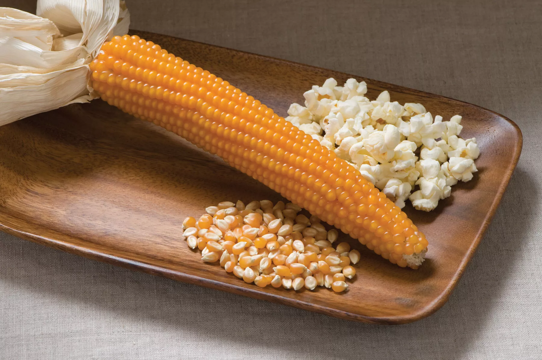 robust-997-f1-corn-seed Robust 997 (F1) Corn Seed