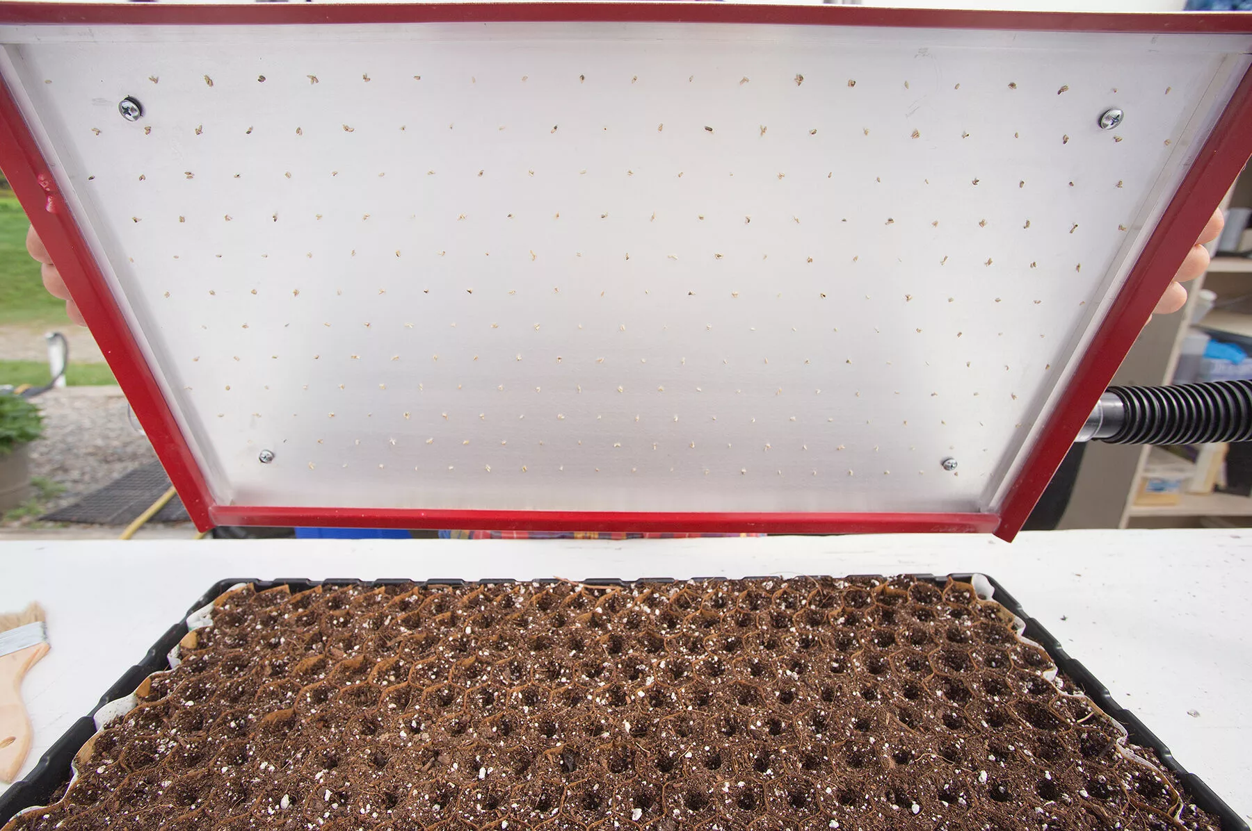 seed-plate-c264-paperpot-vacuum-seeder-accessory Seed Plate C264 Paperpot Vacuum Seeder Accessory