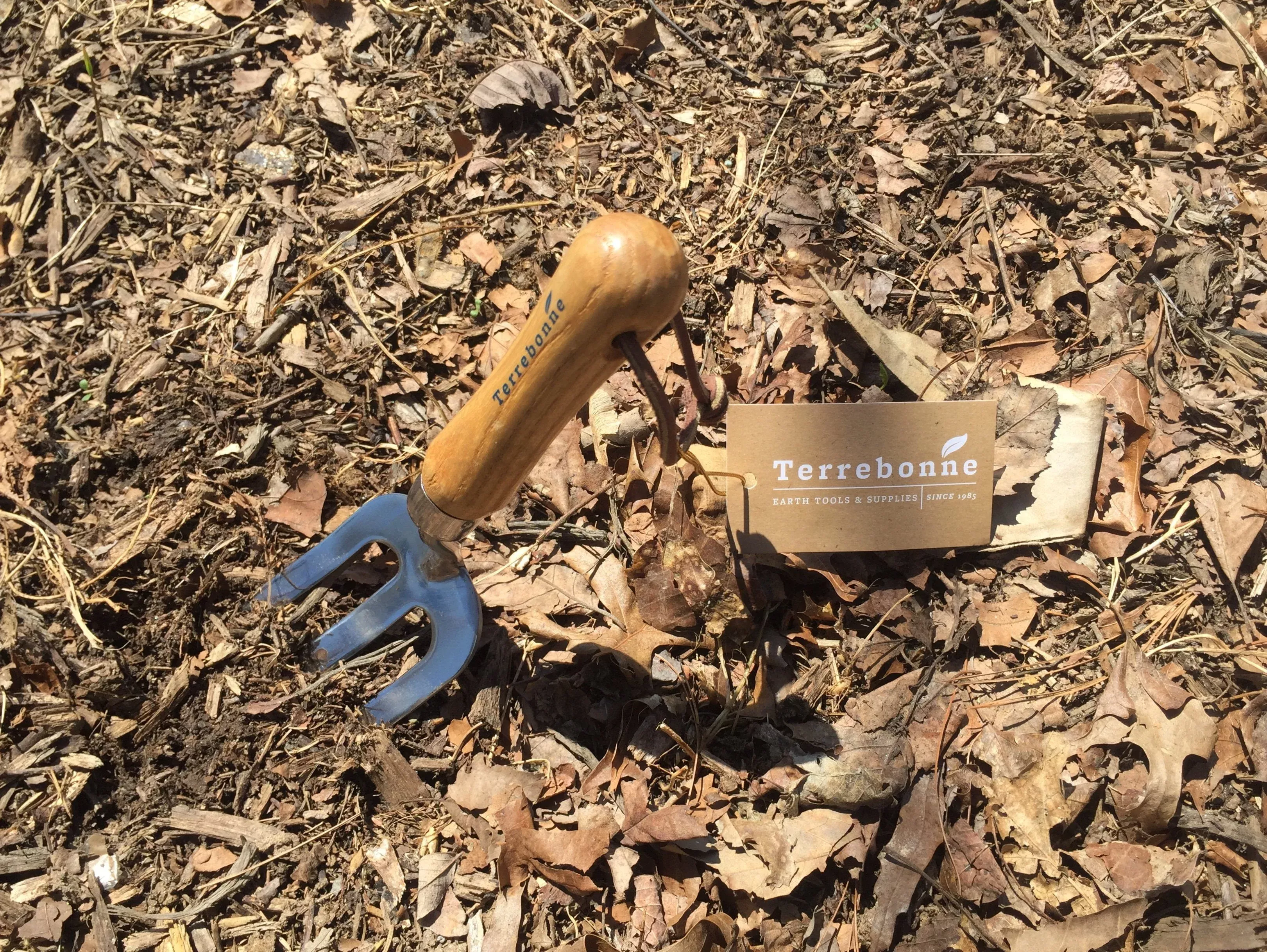 Small Stainless Steel Hand Fork