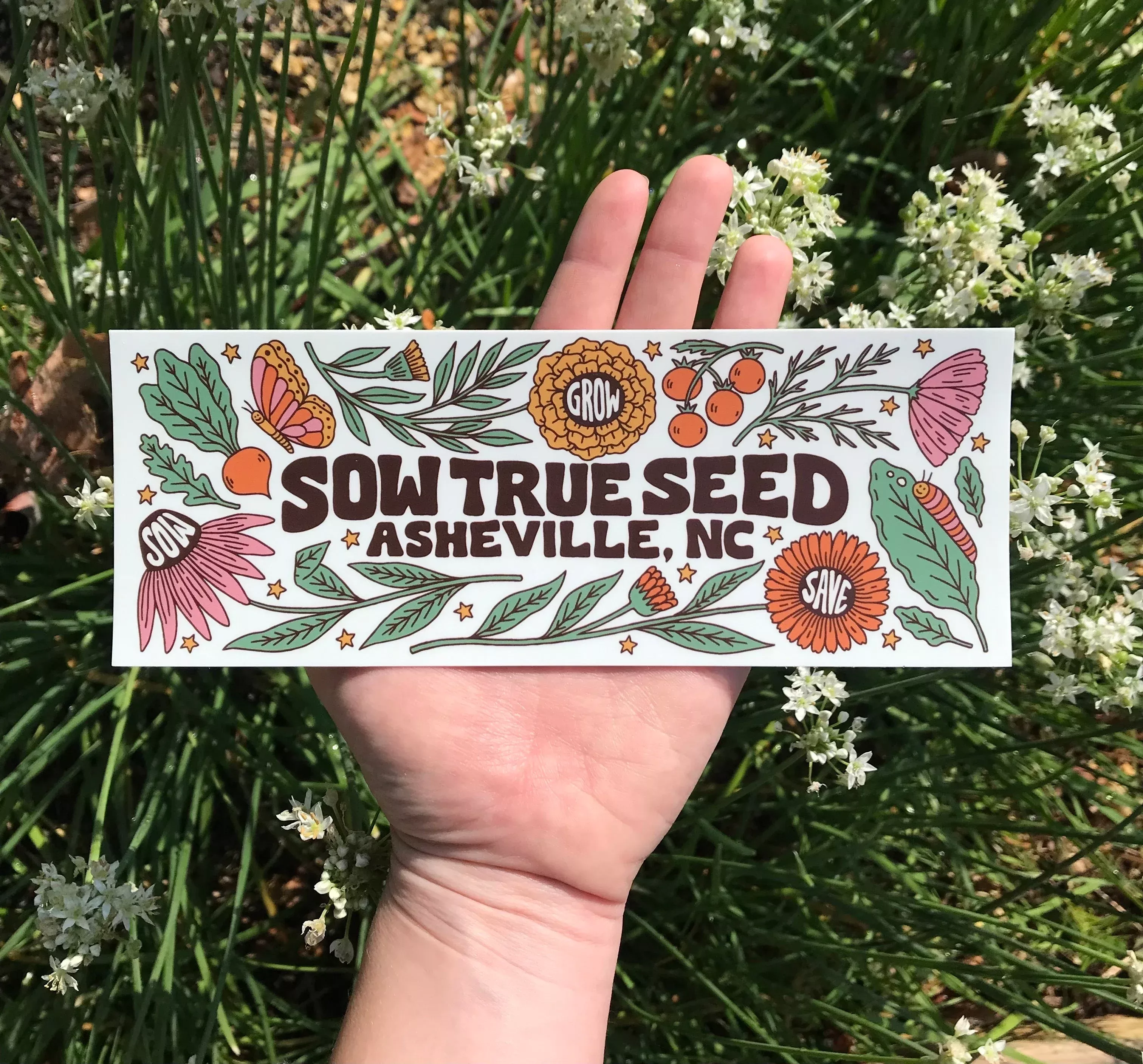 Sow True Seed Bumper Sticker
