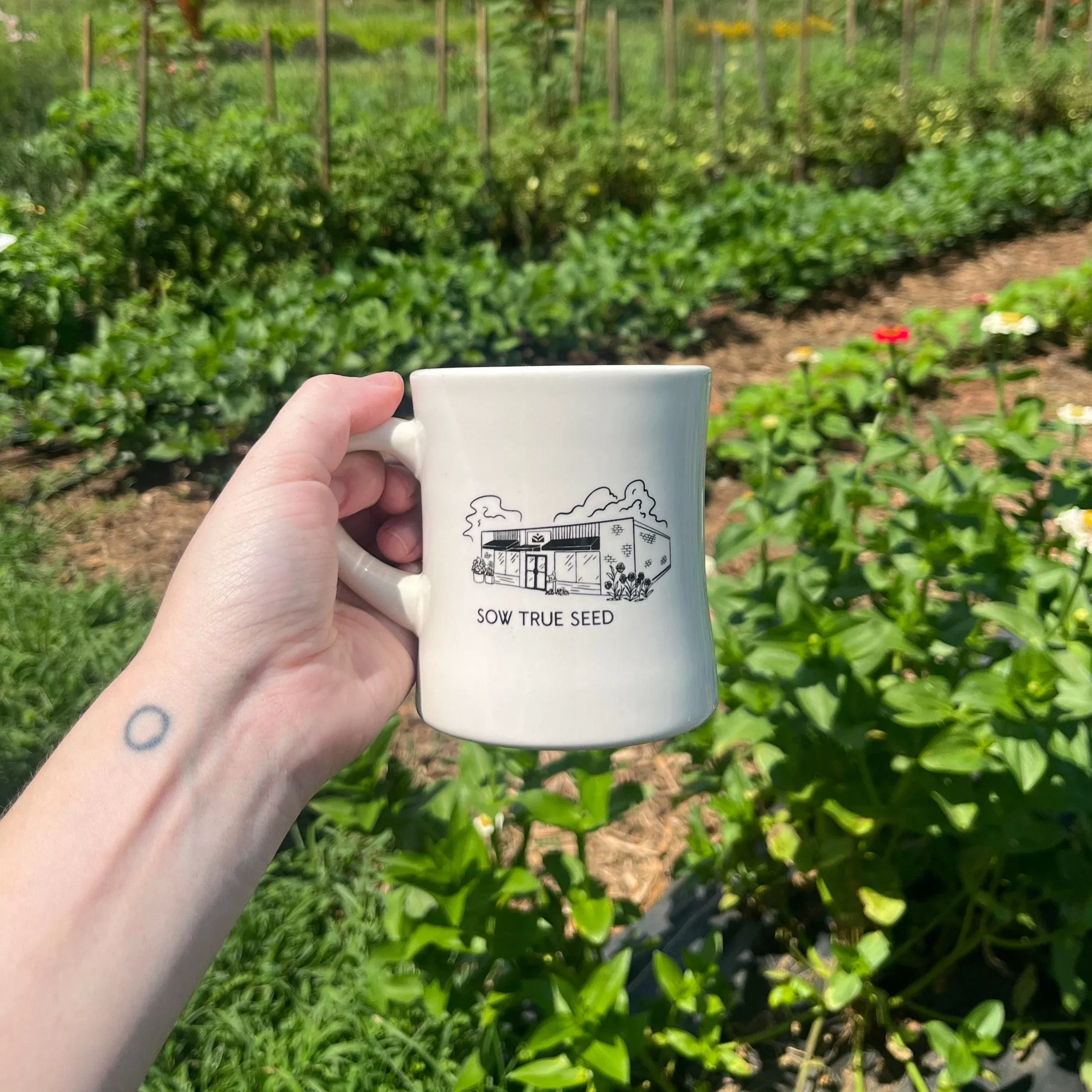 Sow True Seed Diner Mug