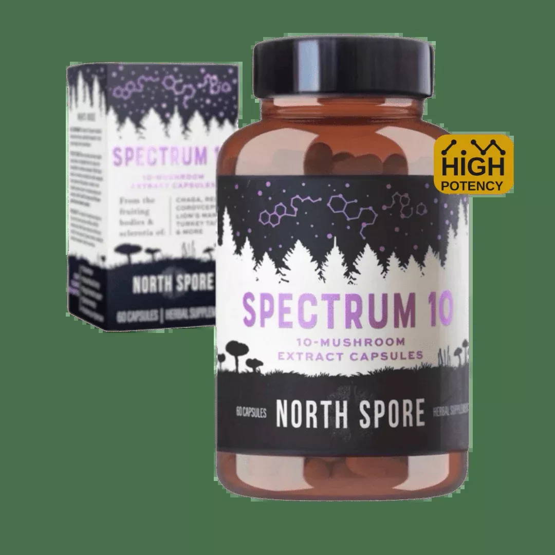 spectrum-10-organic-multi-mushroom-capsules ‘Spectrum 10’ Organic Multi-Mushroom Capsules