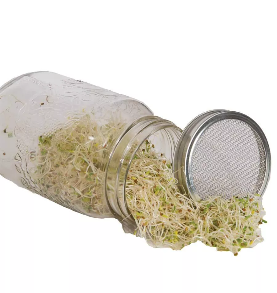 sprouting-jar-with-metal-lid-seeds Sprouting Jar with Metal Lid and Seeds
