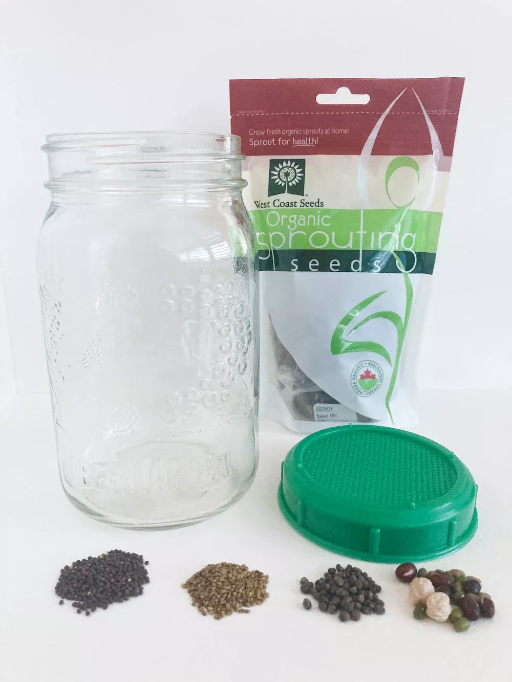 sprouting-jar-with-plastic-lid-seeds Sprouting Jar with Plastic Lid and Seeds