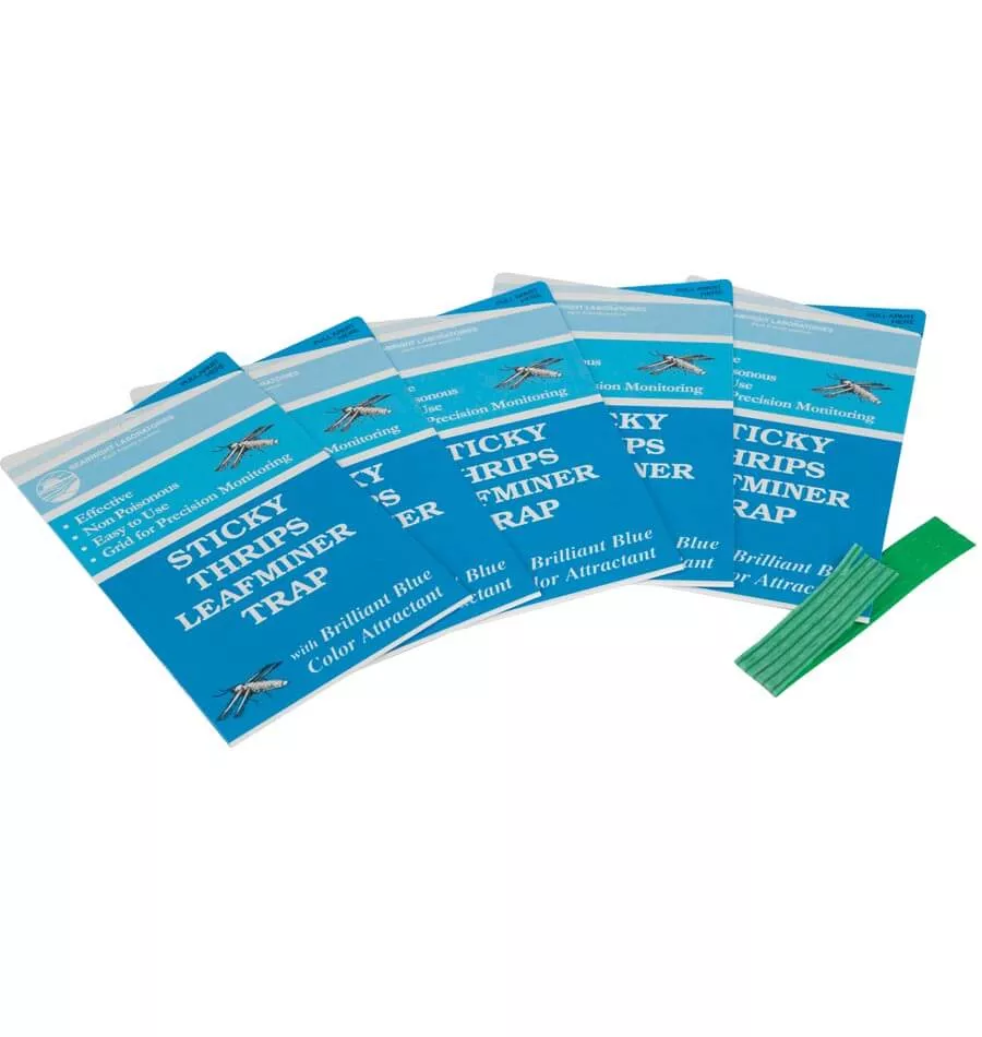 sticky-thrip-leafminer-trap Sticky Thrip Leafminer Trap