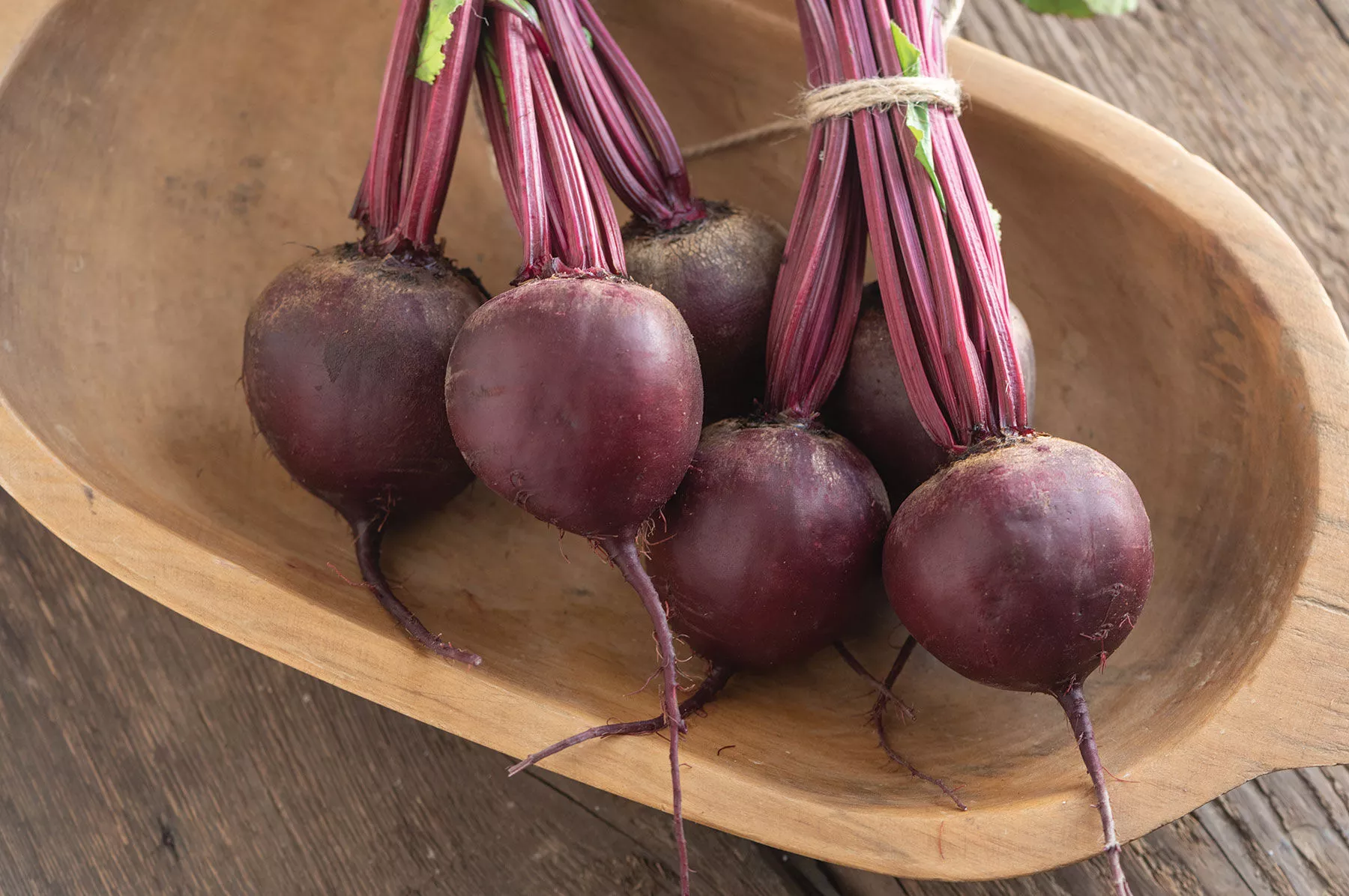 subeto-organic-f1-beet-seed Subeto Organic (F1) Beet Seed
