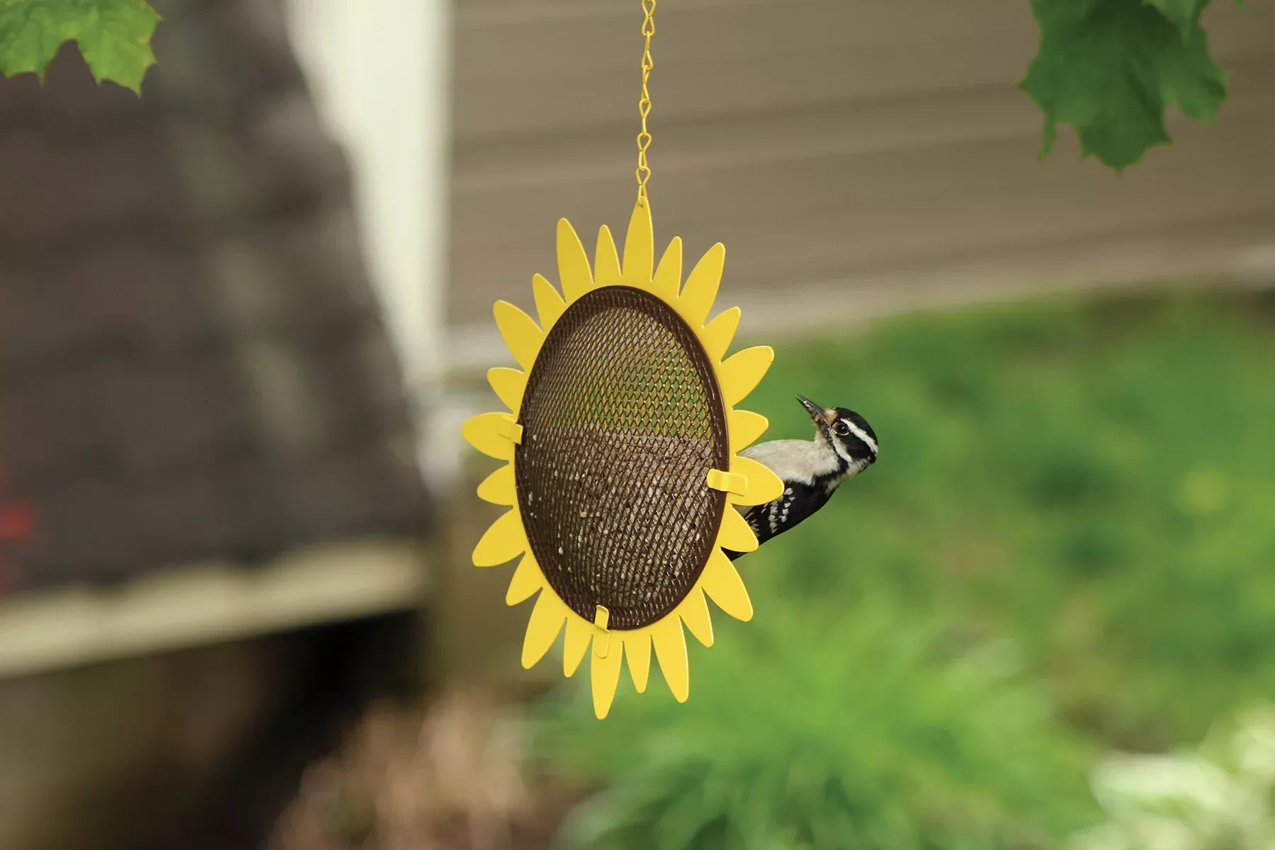 Sunflower Chips/Hearts Feeder