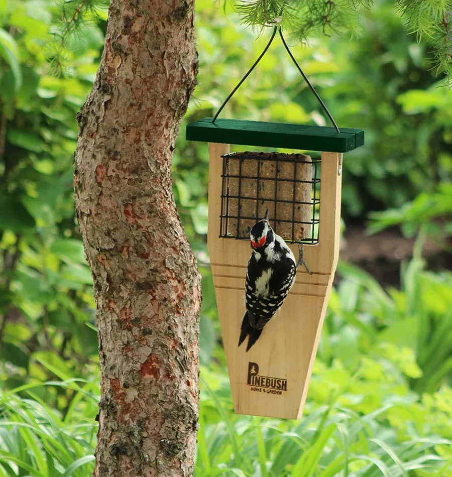 Tail Prop Suet Cake Feeder