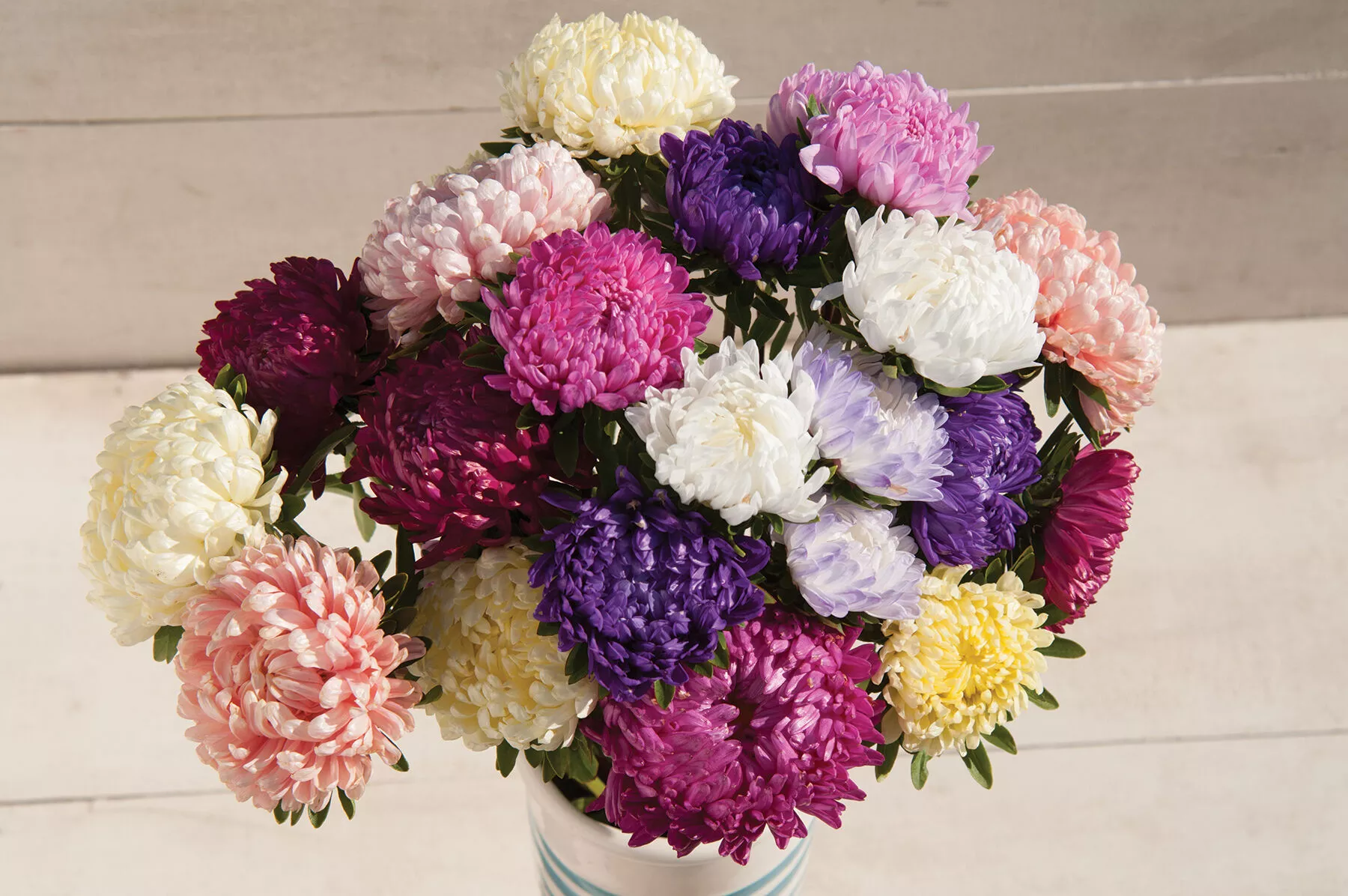 tower-custom-mix-china-aster-seed Tower Custom Mix China Aster Seed