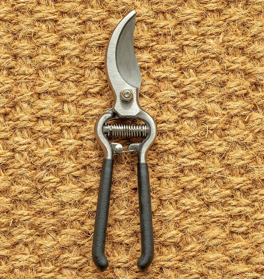 Vintage Forged Bypass Pruner