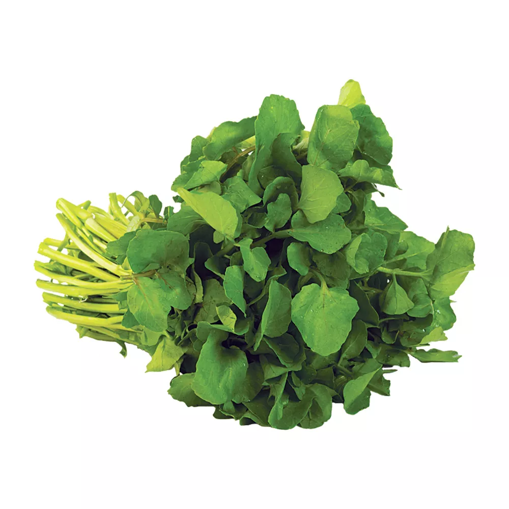 watercress Watercress