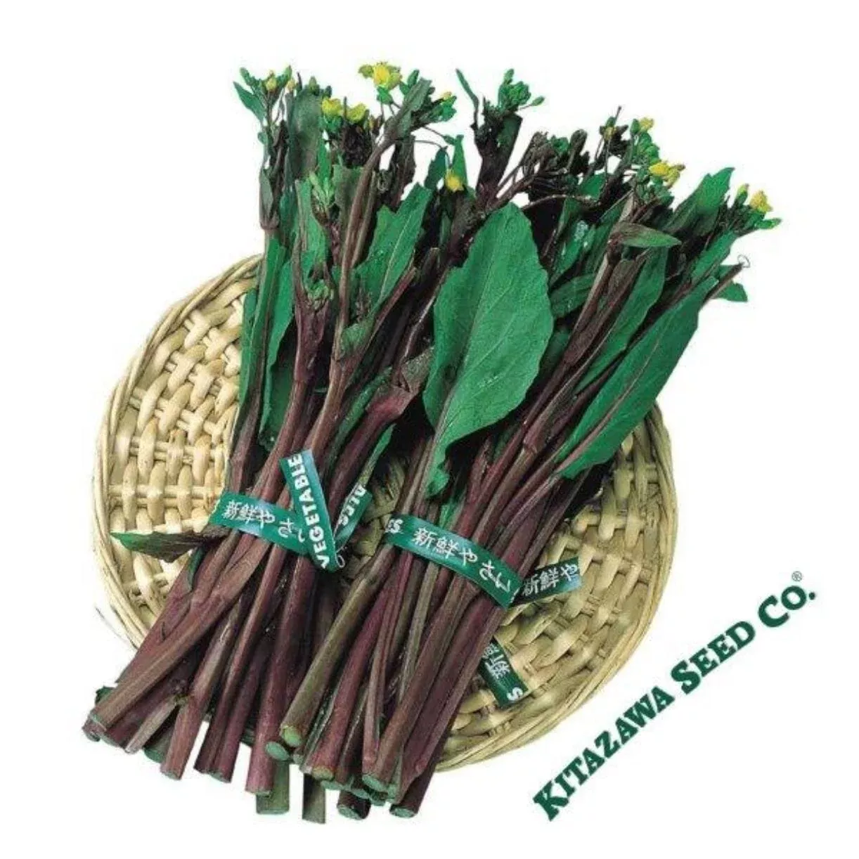 Yu Choy Sum Seeds, Kosaitai, Hon Tsai Tai