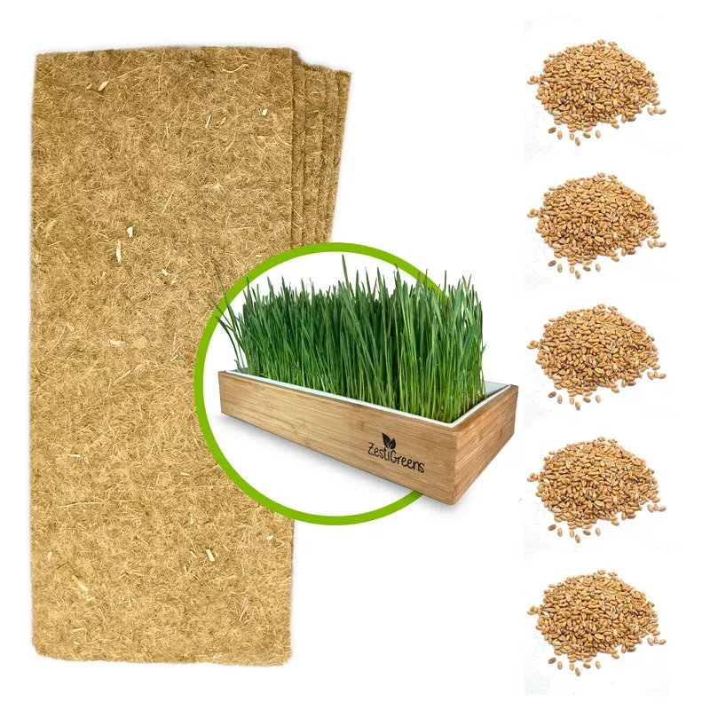 ZestiGreens Organic Wheatgrass Kit Refill Pack – 5 Hemp Mats & 5 Organic Seed Packets