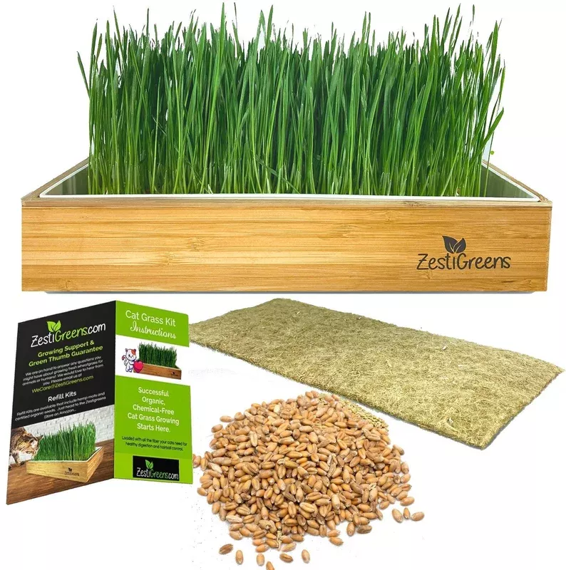 ZestiGreens Self-Watering Cat Grass Kit – Organic Wheatgrass Growing Tray with Hemp Mat