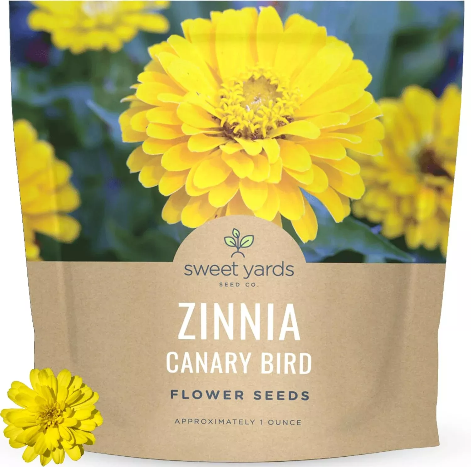 zinnia-canary-bird Zinnia Canary Bird