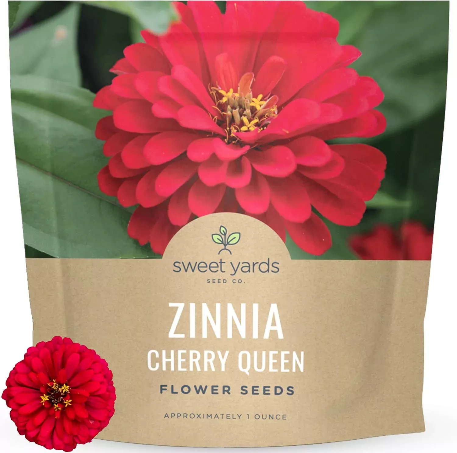 zinnia-cherry-queen Zinnia Cherry Queen