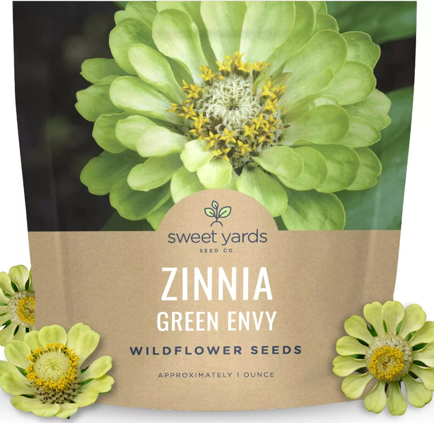 zinnia-green-envy Zinnia Green Envy