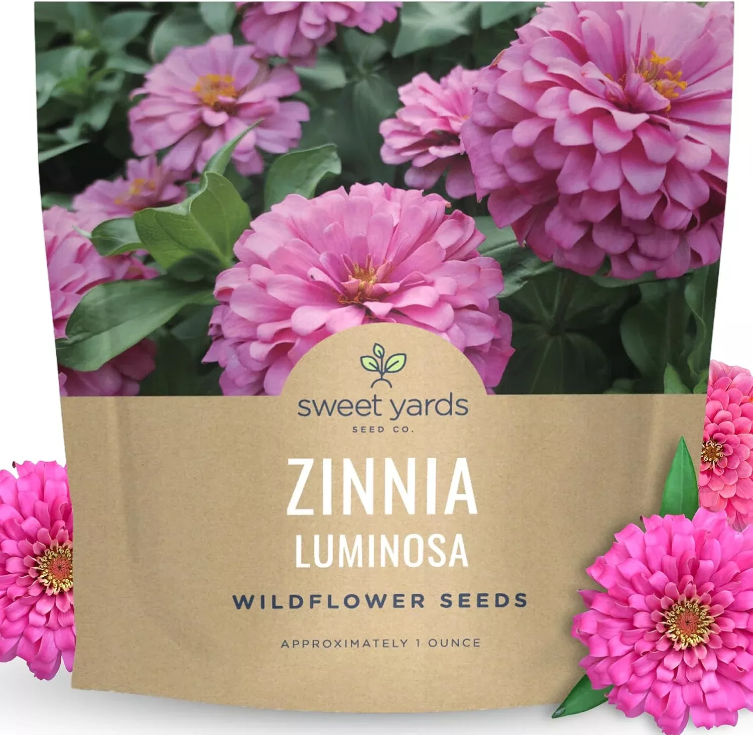 Zinnia Luminosa
