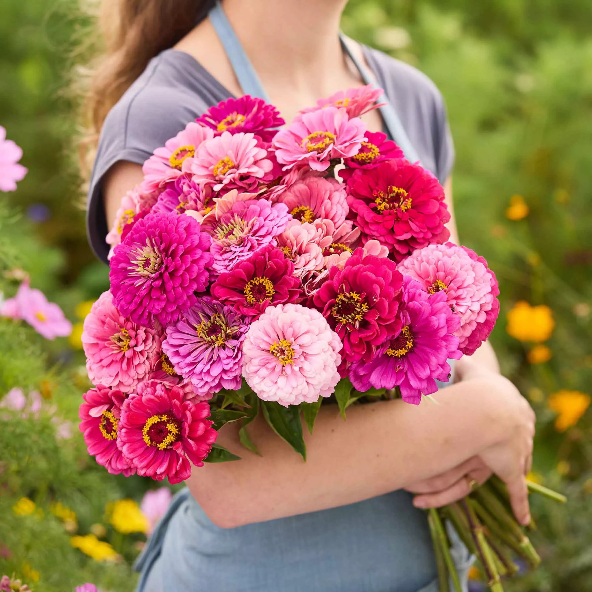 zinnia-seeds-art-deco-mix Zinnia Seeds - Art Deco Mix
