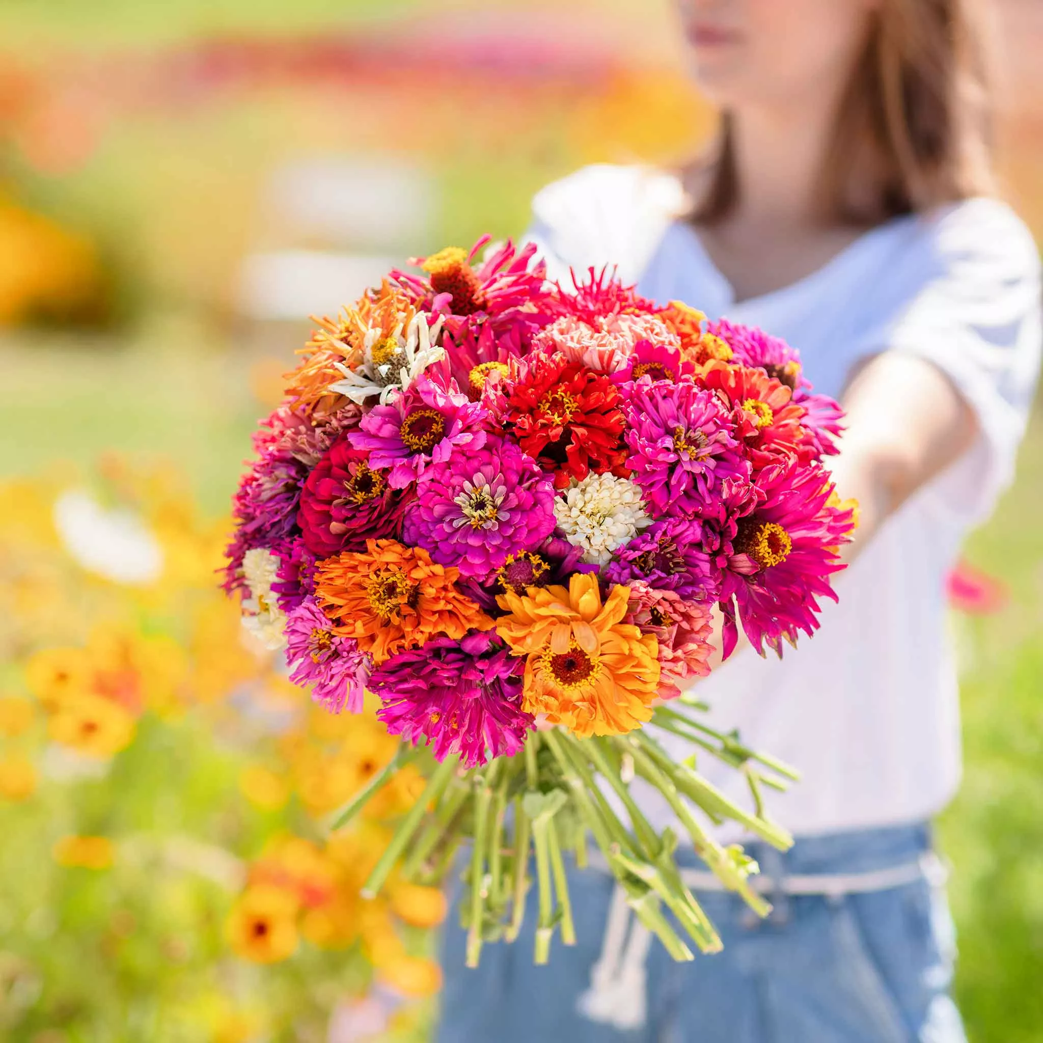 zinnia-seeds-cactus-flowered-mix Zinnia Seeds - Cactus Flowered Mix