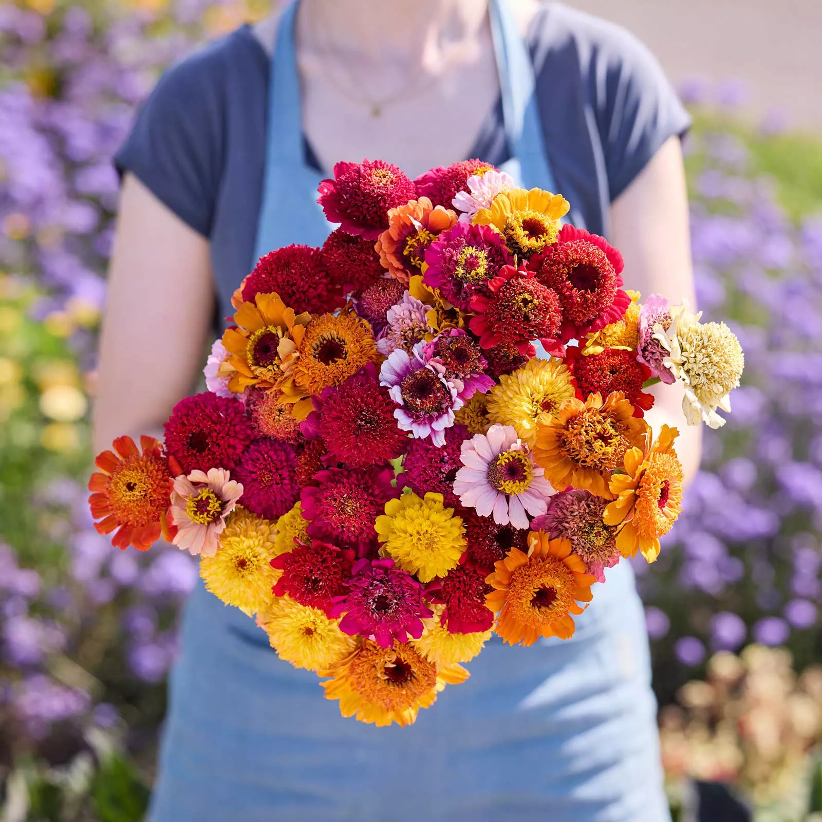 Zinnia Seeds - Crestar Fieldgrown Mix