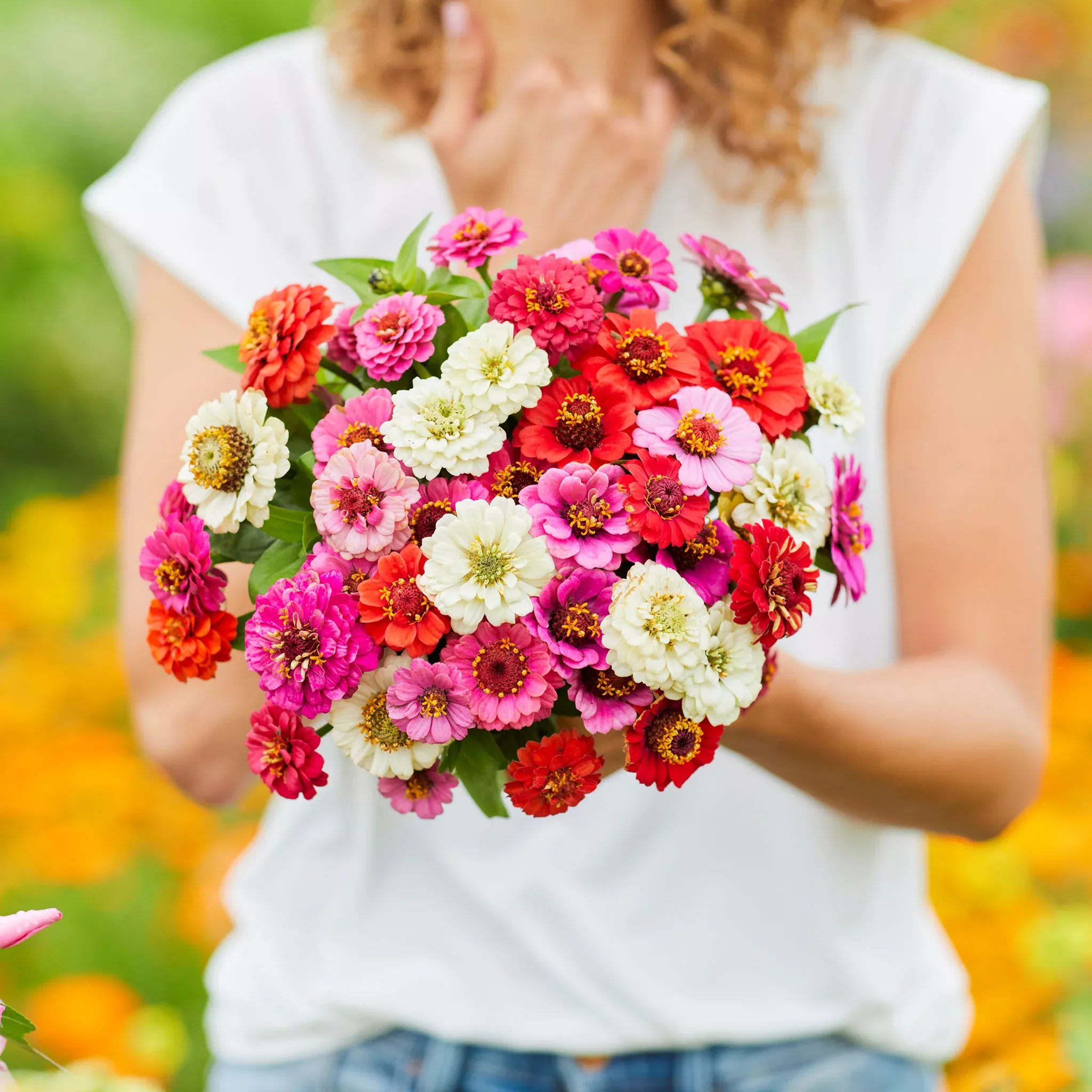 zinnia-seeds-thumbelina Zinnia Seeds - Thumbelina