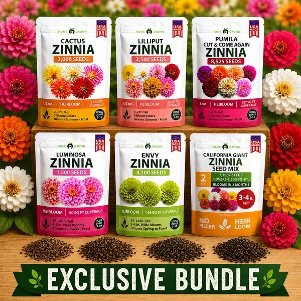 Zinnia Seeds Variety Collection - 6 Colorful Varieties