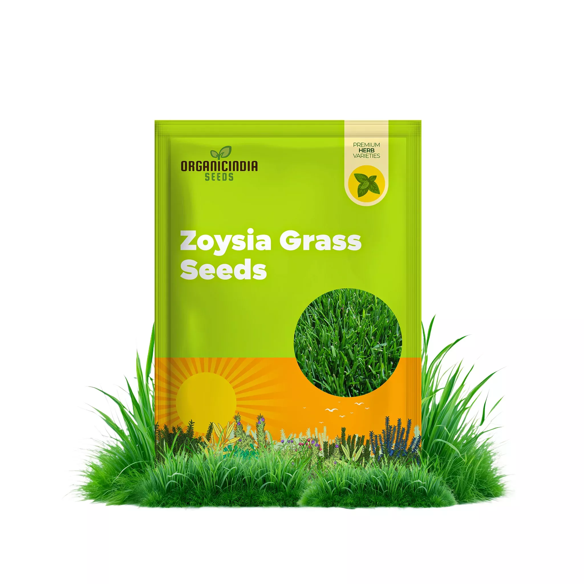 zoysia-grass-seeds-premium-turf-grass-lawns-golf-courses-landscaping Zoysia Grass Seeds – Premium Turf Grass for Lawns, Golf Courses & Landscaping