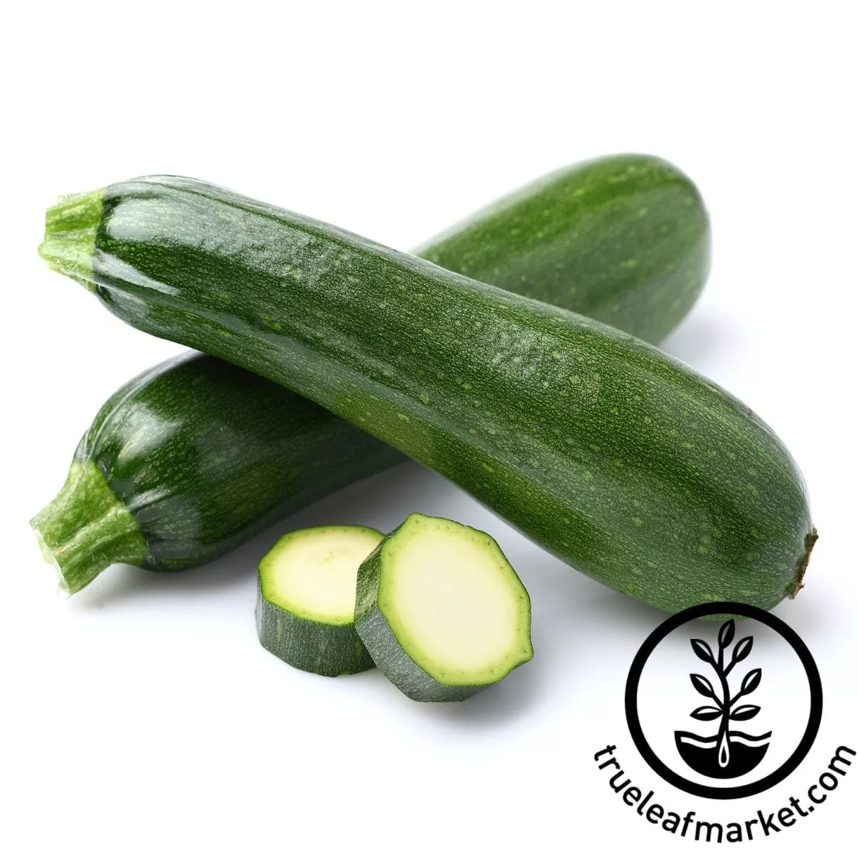 zucchini-seeds-storrs-green-hybrid Zucchini Seeds - Storrs Green Hybrid
